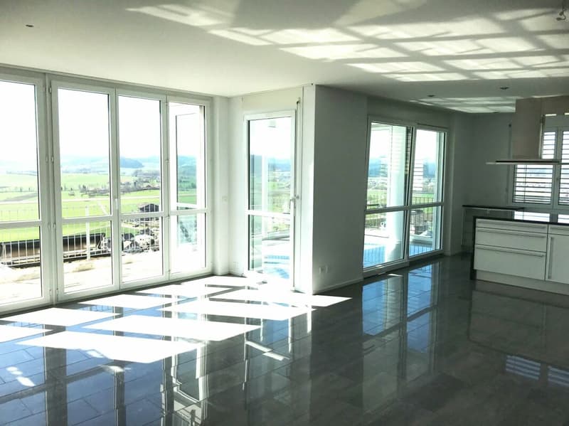 Appartamento esclusivo con terrazza e vista sulla natura e le montagne (5)
