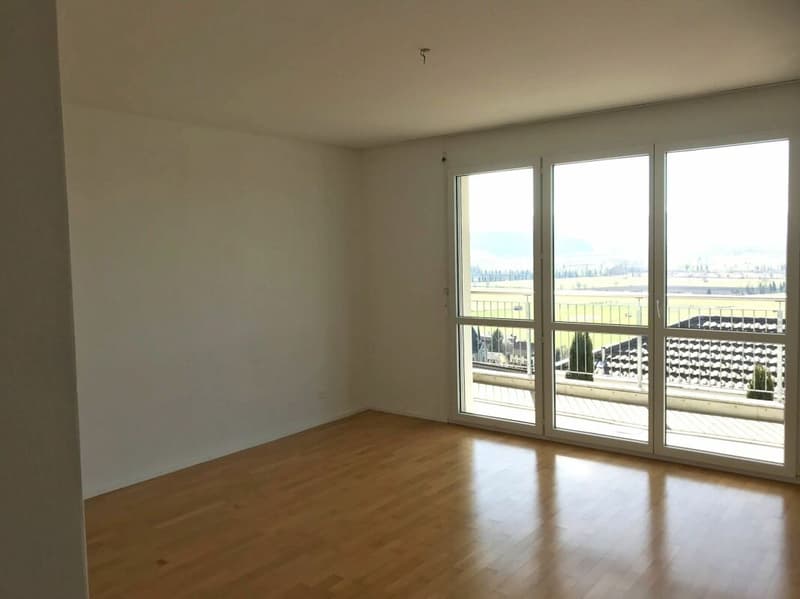 Appartamento esclusivo con terrazza e vista sulla natura e le montagne (4)