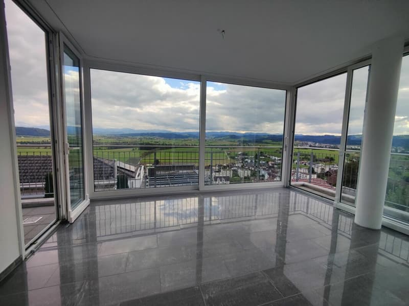 Terrace paradise with a view of the Alps (6)