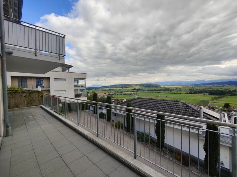 Terrace paradise with a view of the Alps (7)