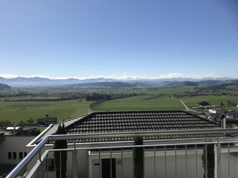 Terrace paradise with a view of the Alps (9)