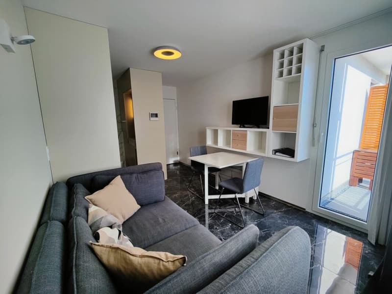 Exklusives Studio mit Balkon (1)