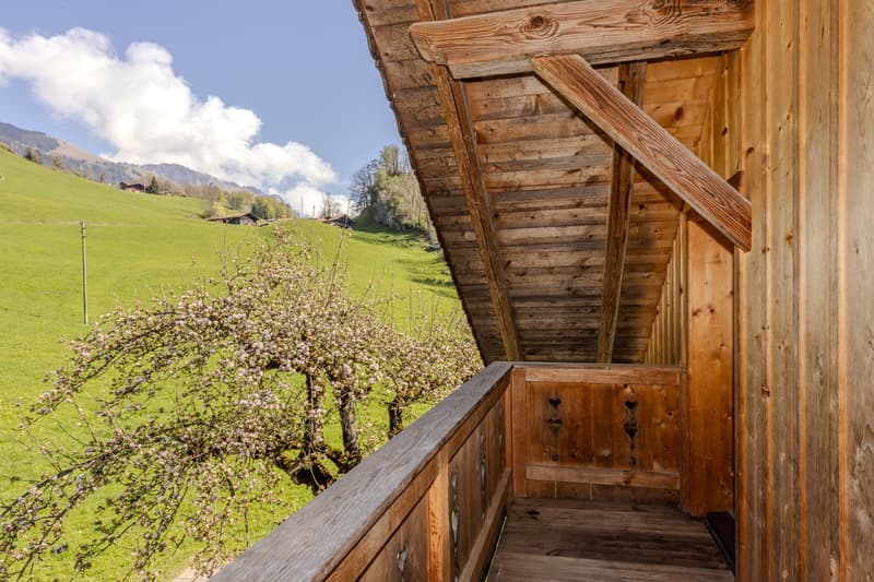 Balkon DG