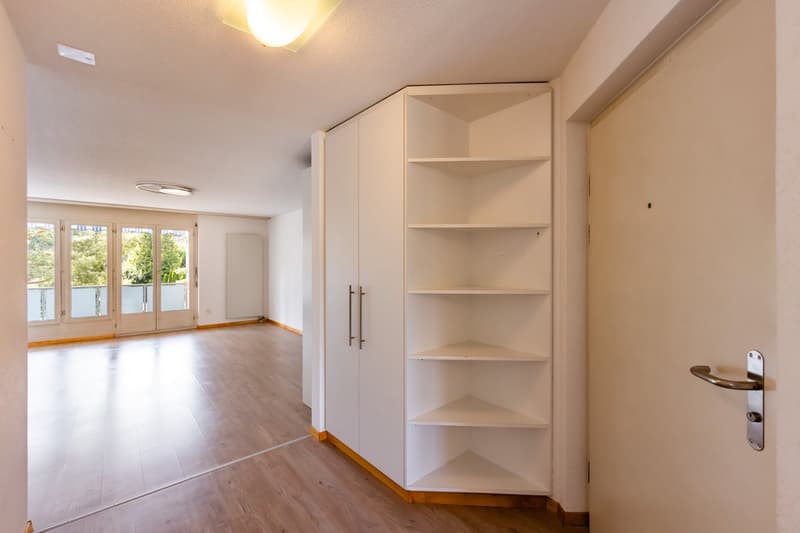 Eingang/Wohnzimmer