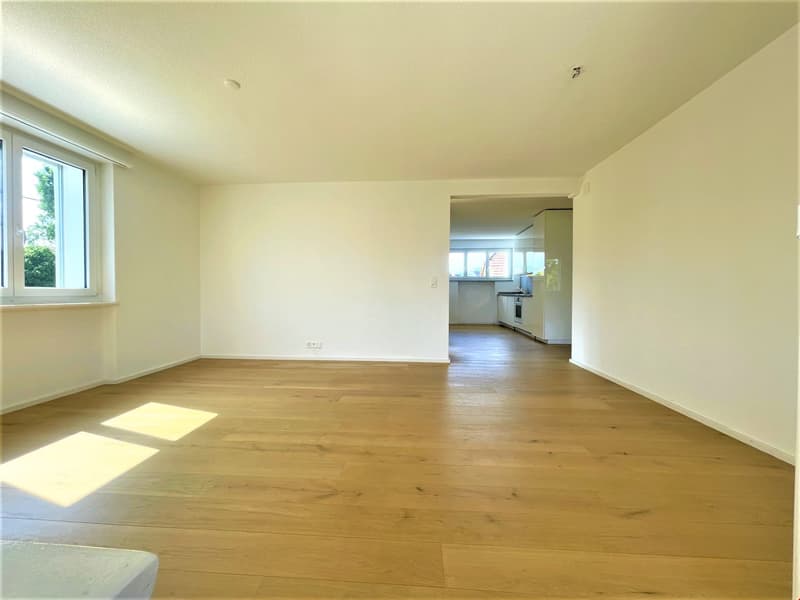 Moderne 5.5 Zimmer Wohnung an ruhiger und zentraler Lage in Buchs AG (2)