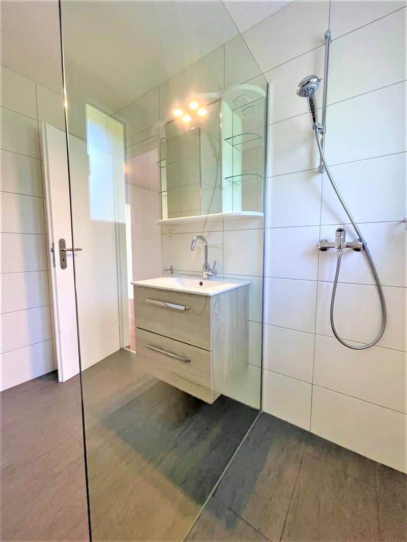 Appartamenti spaziosi e convenienti di 4,5 locali in posizione collinare con una vista panoramica fantastica (8)