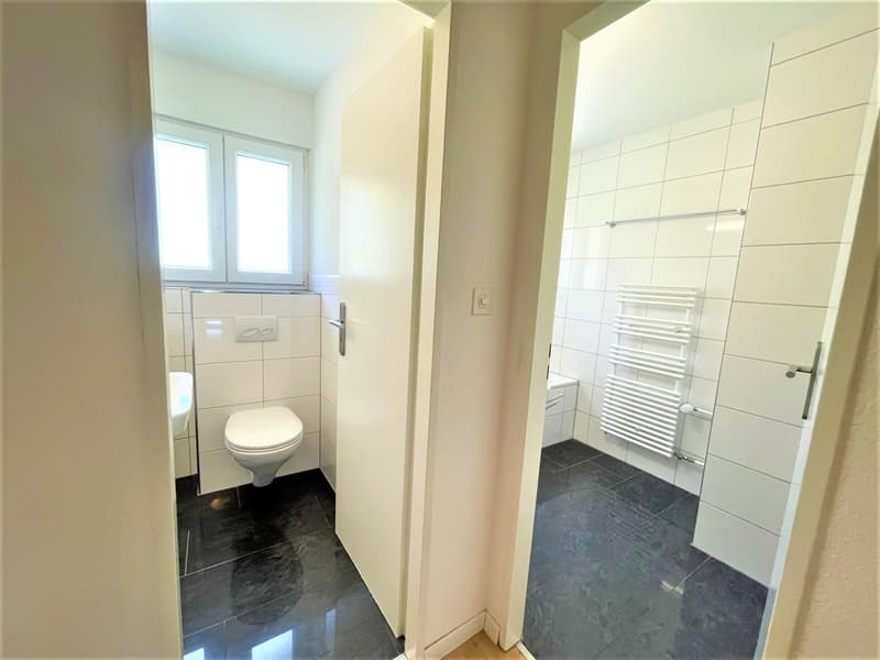 Appartamenti spaziosi e convenienti di 4,5 locali in posizione collinare con una vista panoramica fantastica (11)