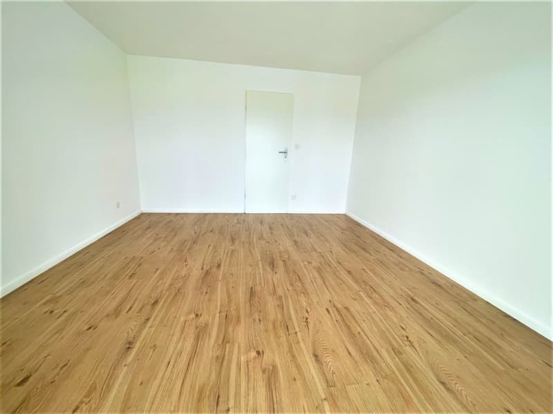 Appartamenti spaziosi e convenienti di 4,5 locali in posizione collinare con una vista panoramica fantastica (2)