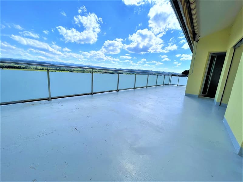 Appartamenti spaziosi e convenienti di 4,5 locali in posizione collinare con una vista panoramica fantastica (13)