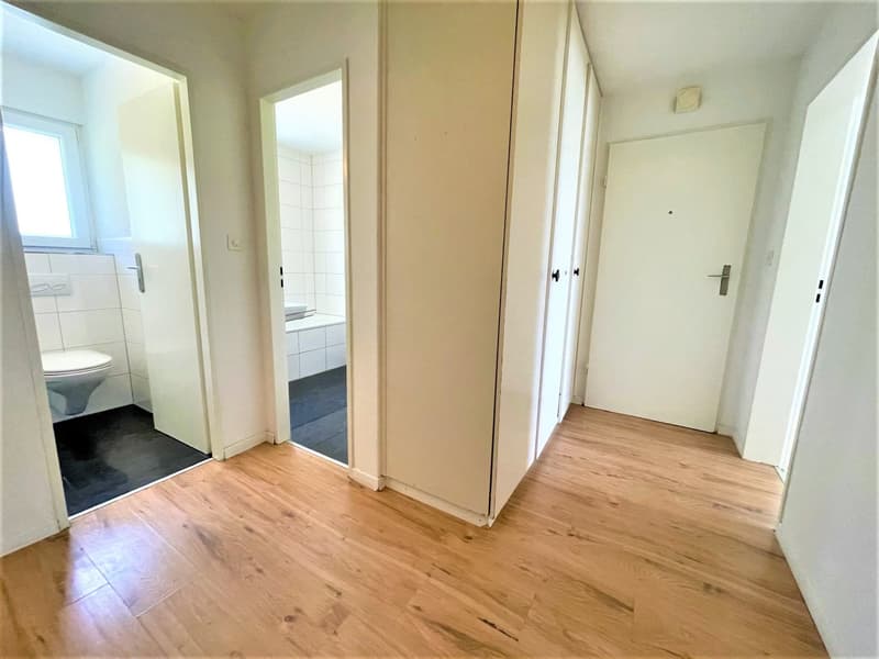 Appartamenti spaziosi e convenienti di 4,5 locali in posizione collinare con una vista panoramica fantastica (7)