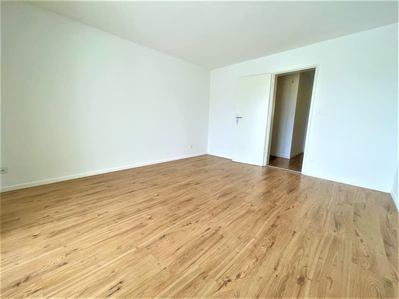 Appartamenti spaziosi e convenienti di 4,5 locali in posizione collinare con una vista panoramica fantastica (3)