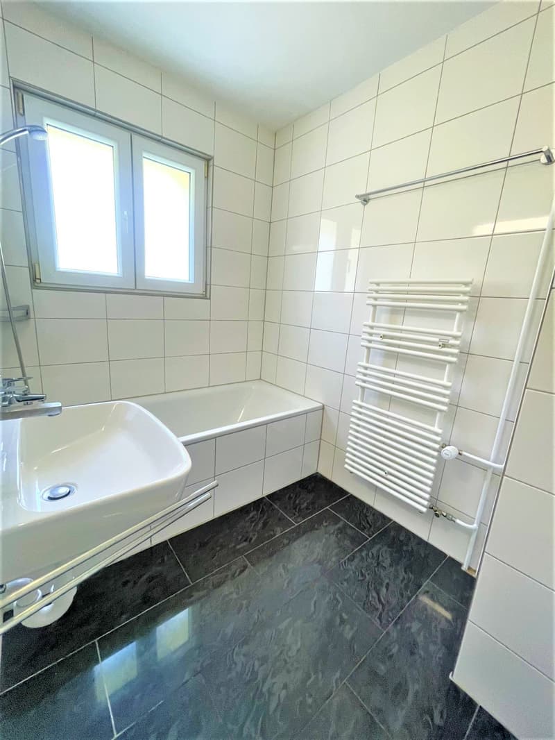 Appartamenti spaziosi e convenienti di 4,5 locali in posizione collinare con una vista panoramica fantastica (9)