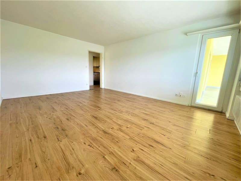 Appartamenti spaziosi e convenienti di 4,5 locali in posizione collinare con una vista panoramica fantastica (5)