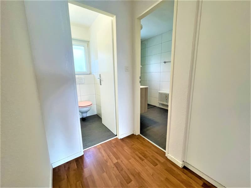 Appartamenti spaziosi e convenienti di 4,5 locali in posizione collinare con una vista panoramica fantastica (10)