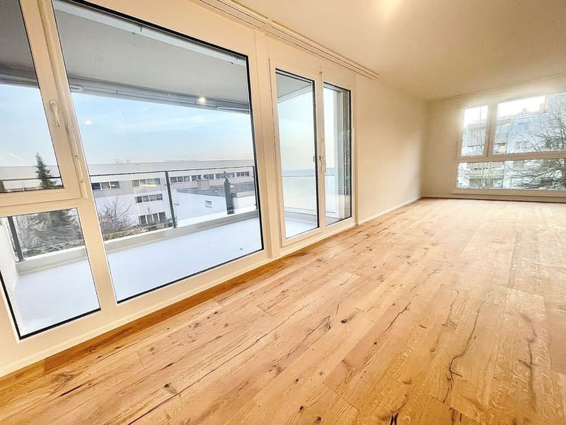 Newly renovated 3.5 room apartments with private washing machine/tumbler (21)