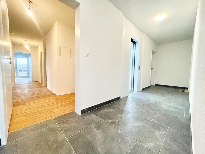 Newly renovated 3.5 room apartments with private washing machine/tumbler (24)