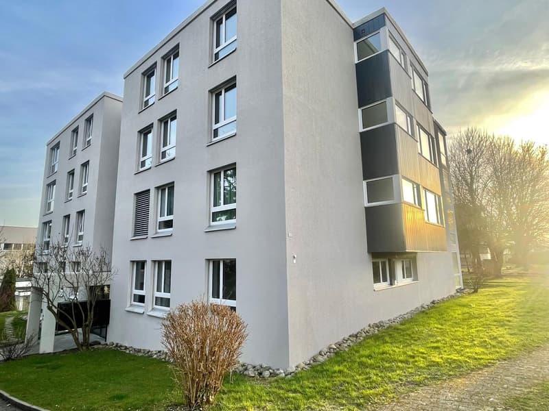 Newly renovated 3.5 room apartments with private washing machine/tumbler (43)