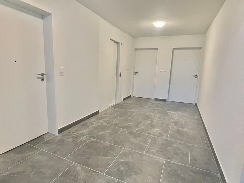 Newly renovated 3.5 room apartments with private washing machine/tumbler (34)
