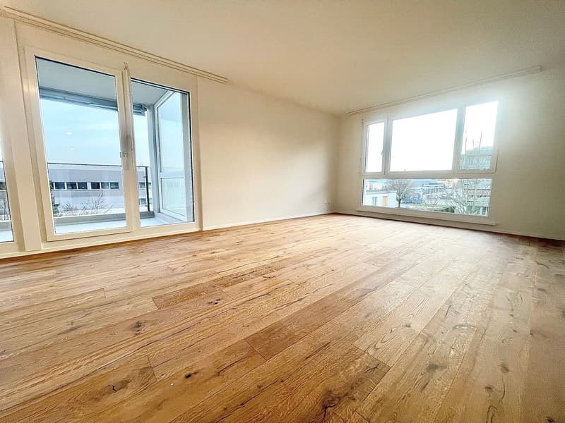 Newly renovated 3.5 room apartments with private washing machine/tumbler (20)