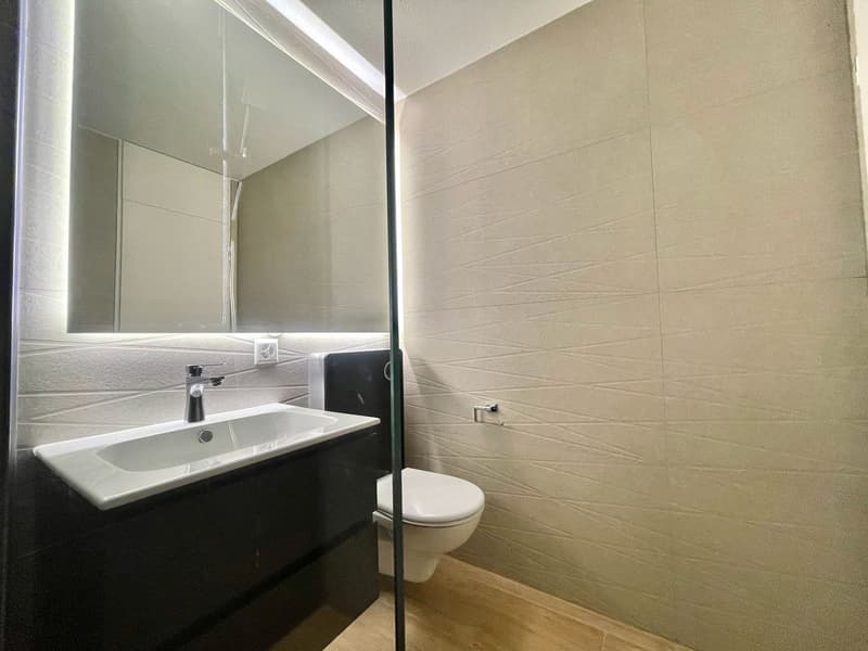 Newly renovated 3.5 room apartments with private washing machine/tumbler (28)
