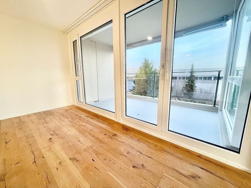 Newly renovated 3.5 room apartments with private washing machine/tumbler (22)