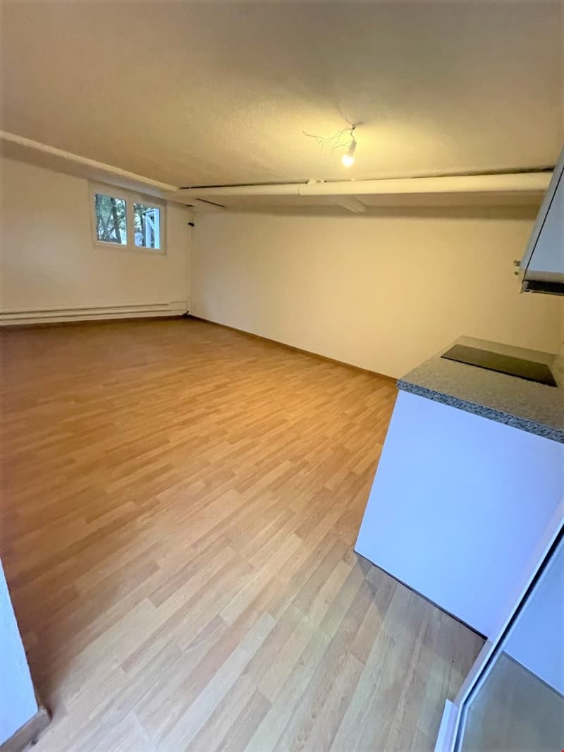empty room, wooden floor, kitchen counter, small window, ceiling light