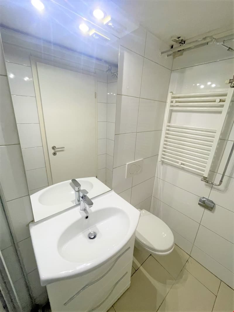 Tiled walls and floor, vanity with mirror and sink, white toilet, wall-mounted towel rack, ceiling lighting