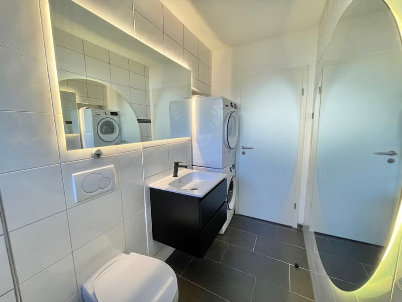 Appartement moderne 2.5 pièces avec lave-linge/sèche-linge à côté d'Emmencenter (16)