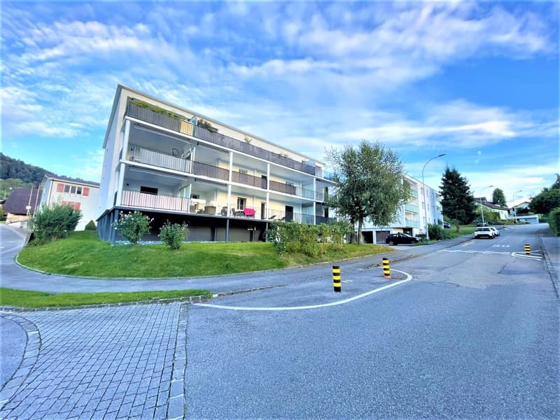 TOP SPAZIO HOBBY MODERNO A NEBIKON IN AFFITTO (5)