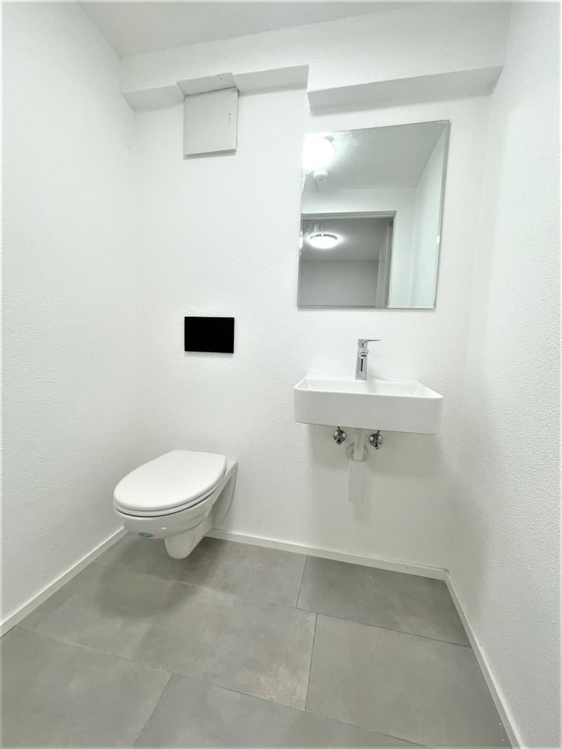 TOP Modern Hobby Rooms for Rent in Nebikon (3)
