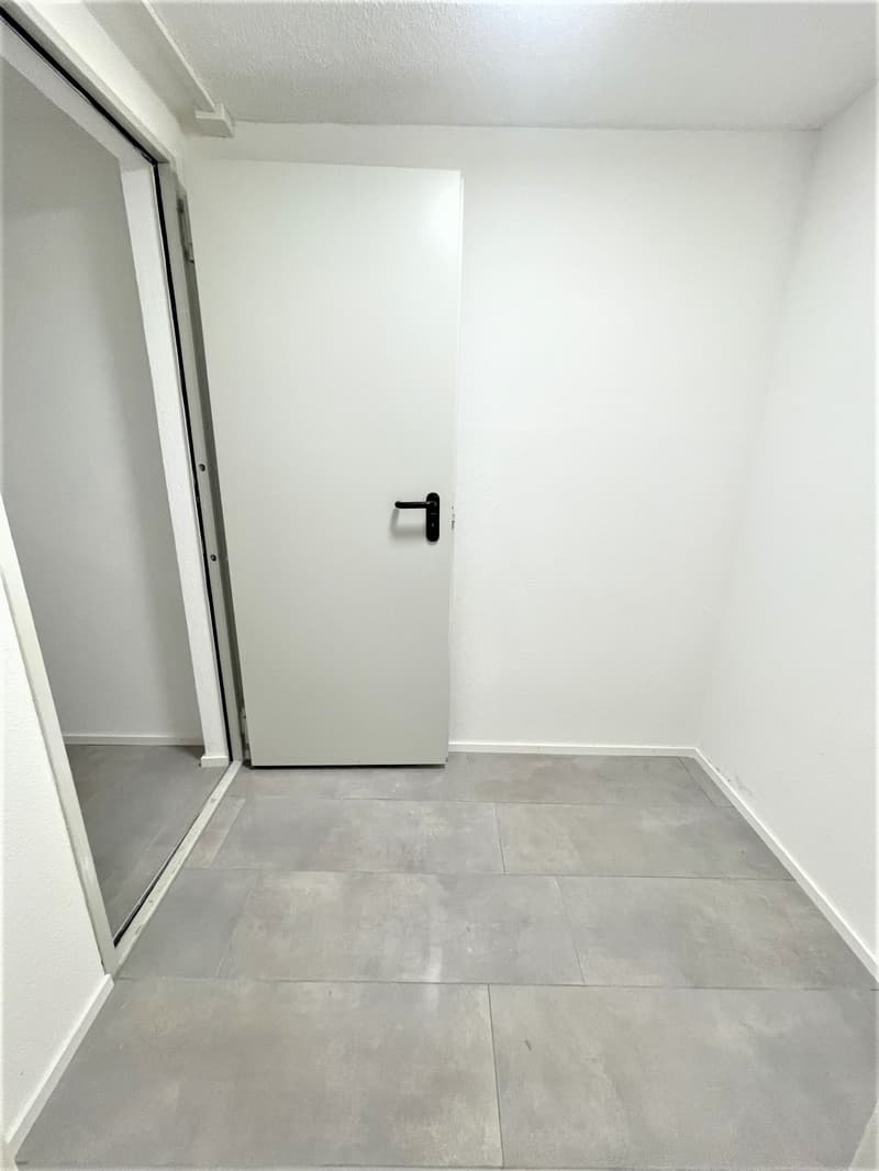 TOP Modern Hobby Rooms for Rent in Nebikon (4)