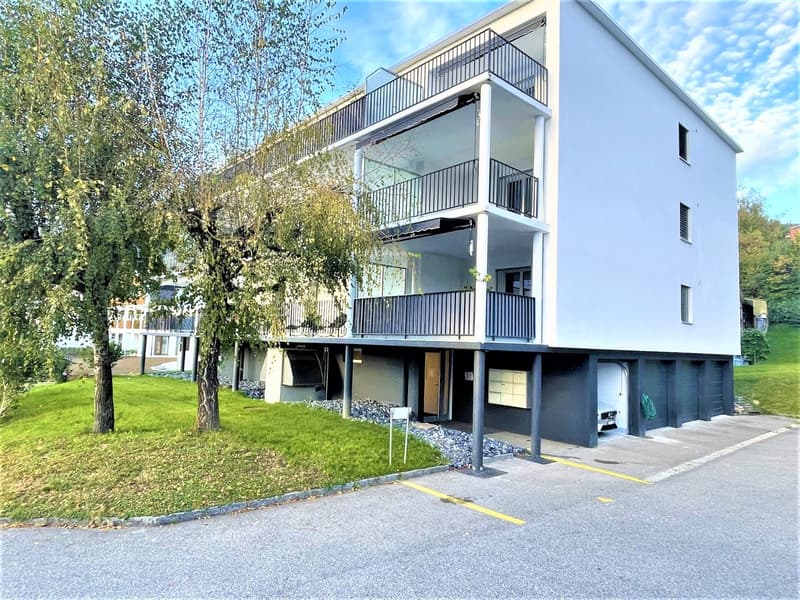 TOP Modern Hobby Rooms for Rent in Nebikon (6)