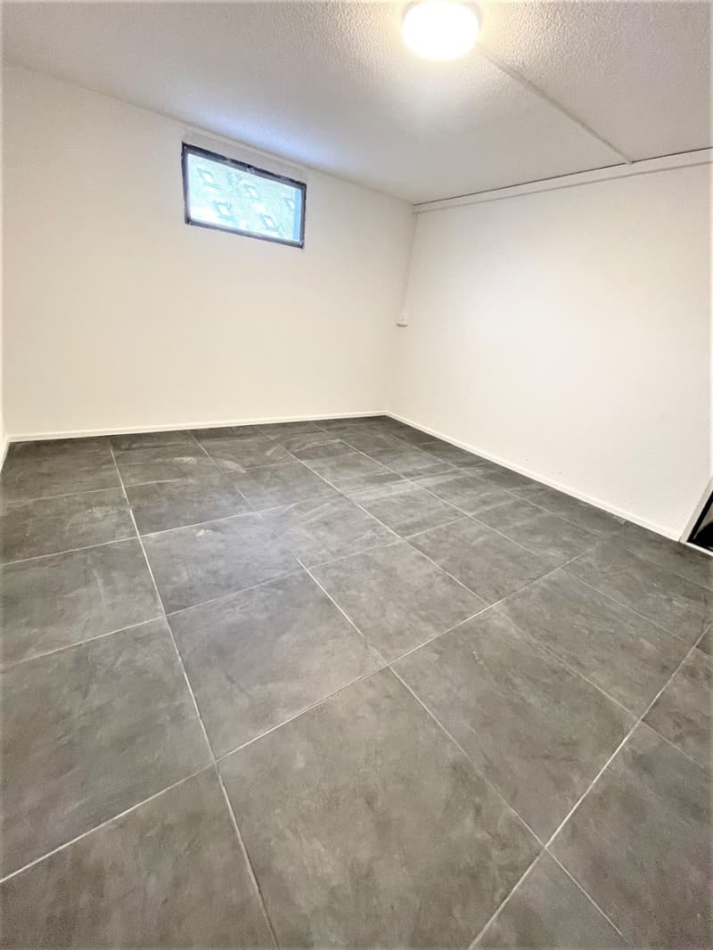 TOP Modern Hobby Rooms for Rent in Nebikon (2)