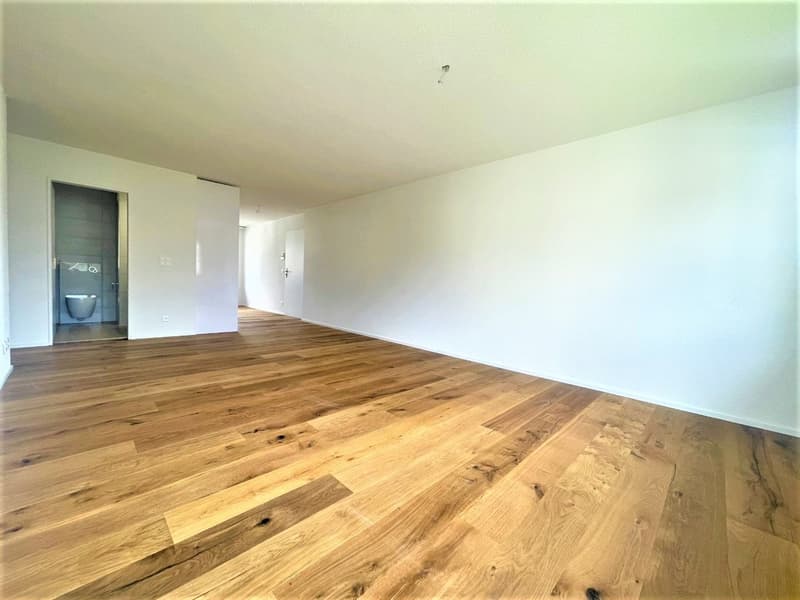 Appartamenti moderni 3.5 locali in affitto vicino a Lenzburg (6)