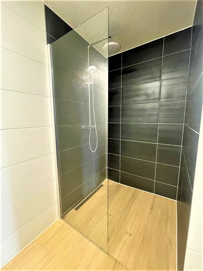 Appartamenti moderni 3.5 locali in affitto vicino a Lenzburg (11)