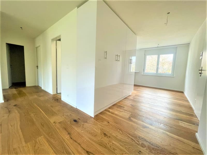 Appartamenti moderni 3.5 locali in affitto vicino a Lenzburg (5)