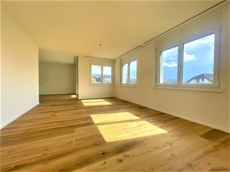 Appartamenti moderni 3.5 locali in affitto vicino a Lenzburg (4)