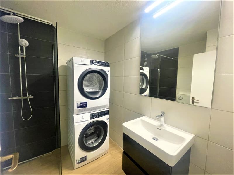 Appartamenti moderni 3.5 locali in affitto vicino a Lenzburg (10)