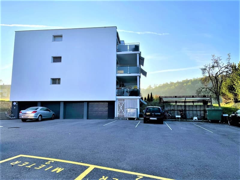 PREISWERTE - MODERNE 3.5 ZI- WHG IM RUHIGEN WOHNQUARTIER (21)