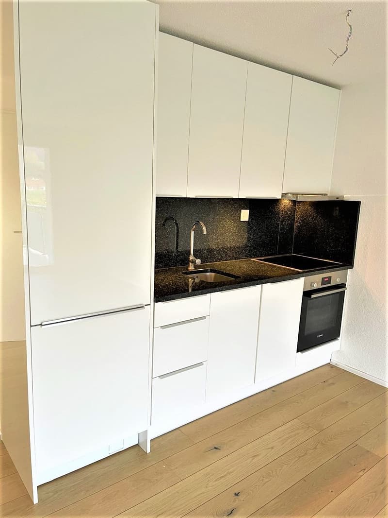 PREISWERTE - MODERNE 3.5 ZI- WHG IM RUHIGEN WOHNQUARTIER (2)