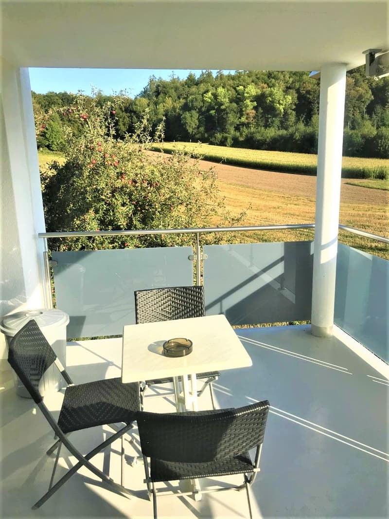 PREISWERTE - MODERNE 3.5 ZI- WHG IM RUHIGEN WOHNQUARTIER (10)