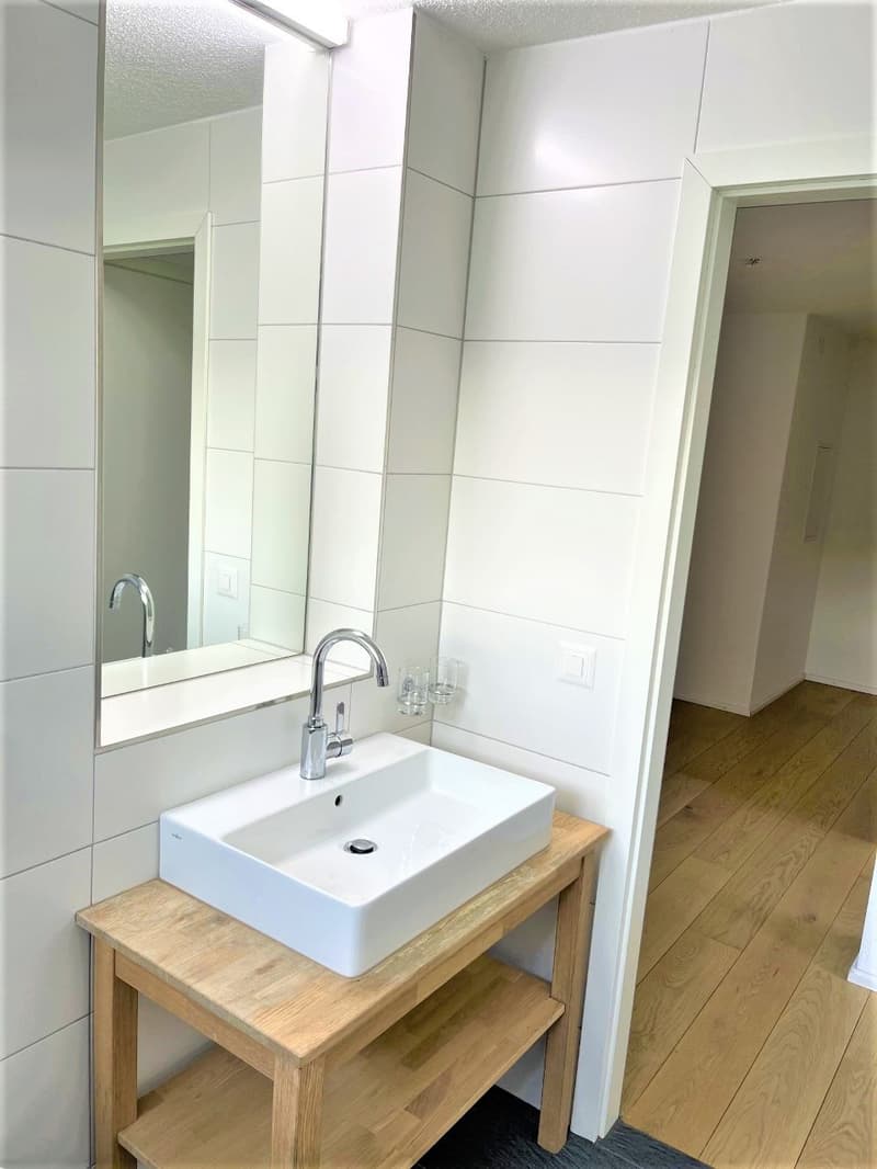PREISWERTE - MODERNE 3.5 ZI- WHG IM RUHIGEN WOHNQUARTIER (9)