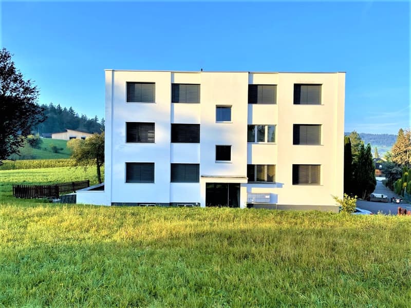PREISWERTE - MODERNE 3.5 ZI- WHG IM RUHIGEN WOHNQUARTIER (16)