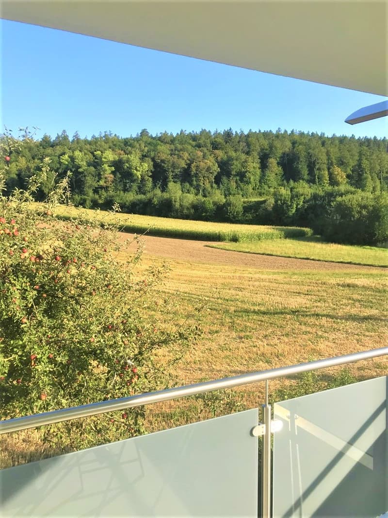 PREISWERTE - MODERNE 3.5 ZI- WHG IM RUHIGEN WOHNQUARTIER (13)