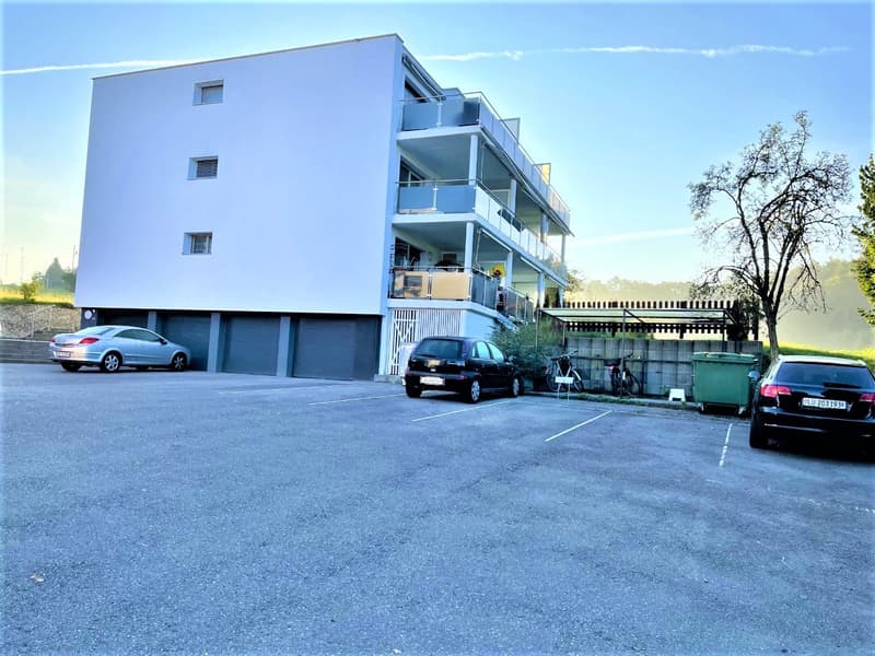 PREISWERTE - MODERNE 3.5 ZI- WHG IM RUHIGEN WOHNQUARTIER (19)