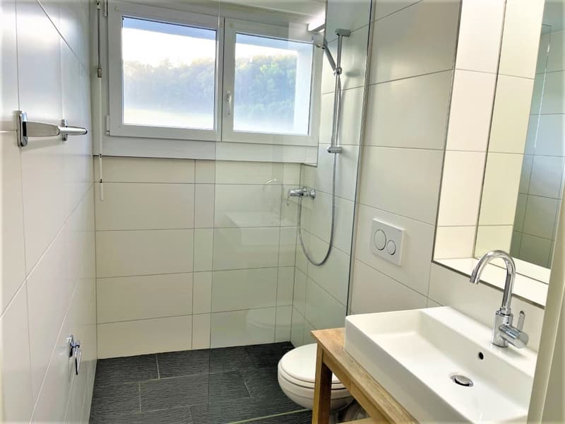 PREISWERTE - MODERNE 3.5 ZI- WHG IM RUHIGEN WOHNQUARTIER (8)
