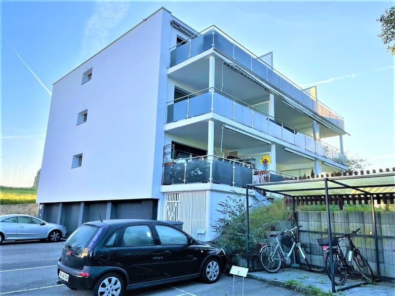 PREISWERTE - MODERNE 3.5 ZI- WHG IM RUHIGEN WOHNQUARTIER (20)