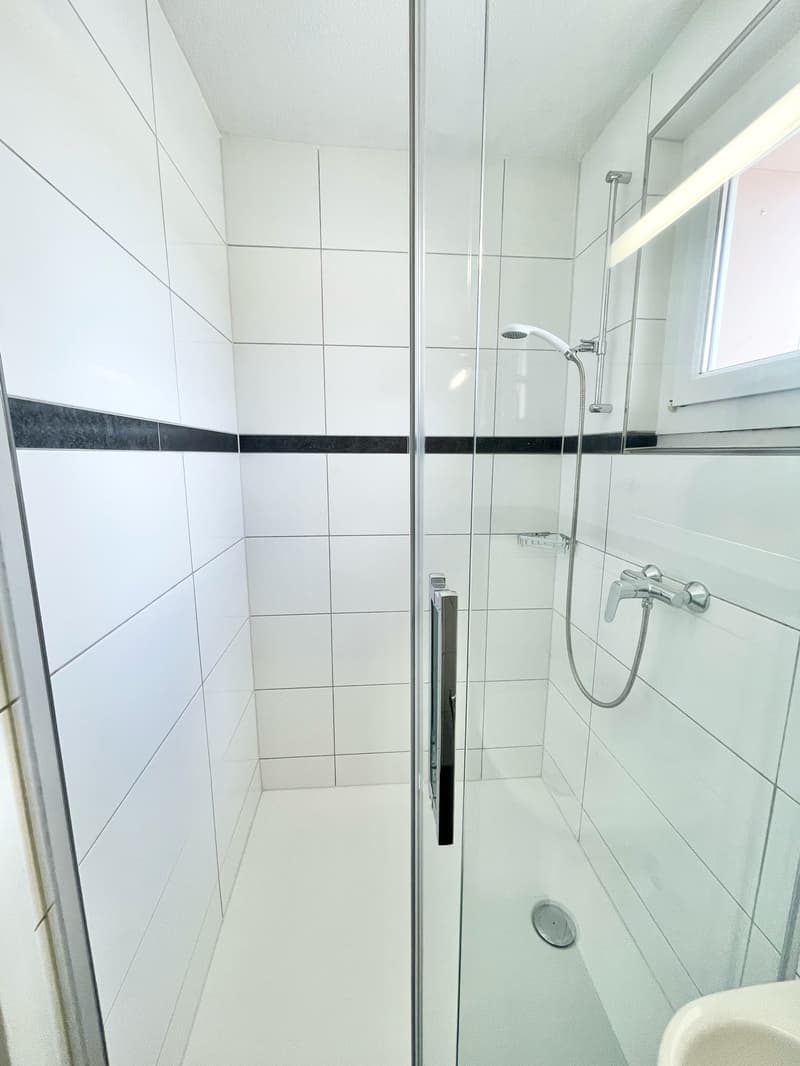 Preiswerte 3.5 Zimmer Wohnung an toller Lage in Olten (10)