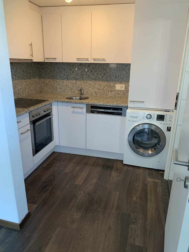 Moderne 2 - Zimmer - Wohnung mit grossem Sitzplatz zentral in Wauwil (1)