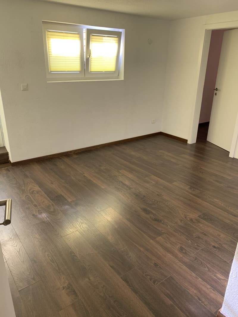 Moderne 2 - Zimmer - Wohnung mit grossem Sitzplatz zentral in Wauwil (3)